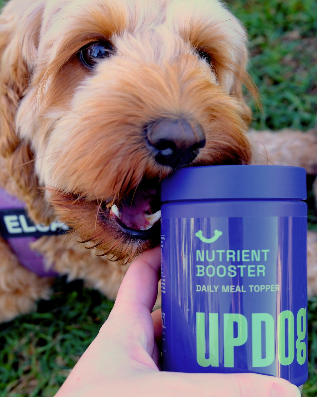 Nutrient Booster