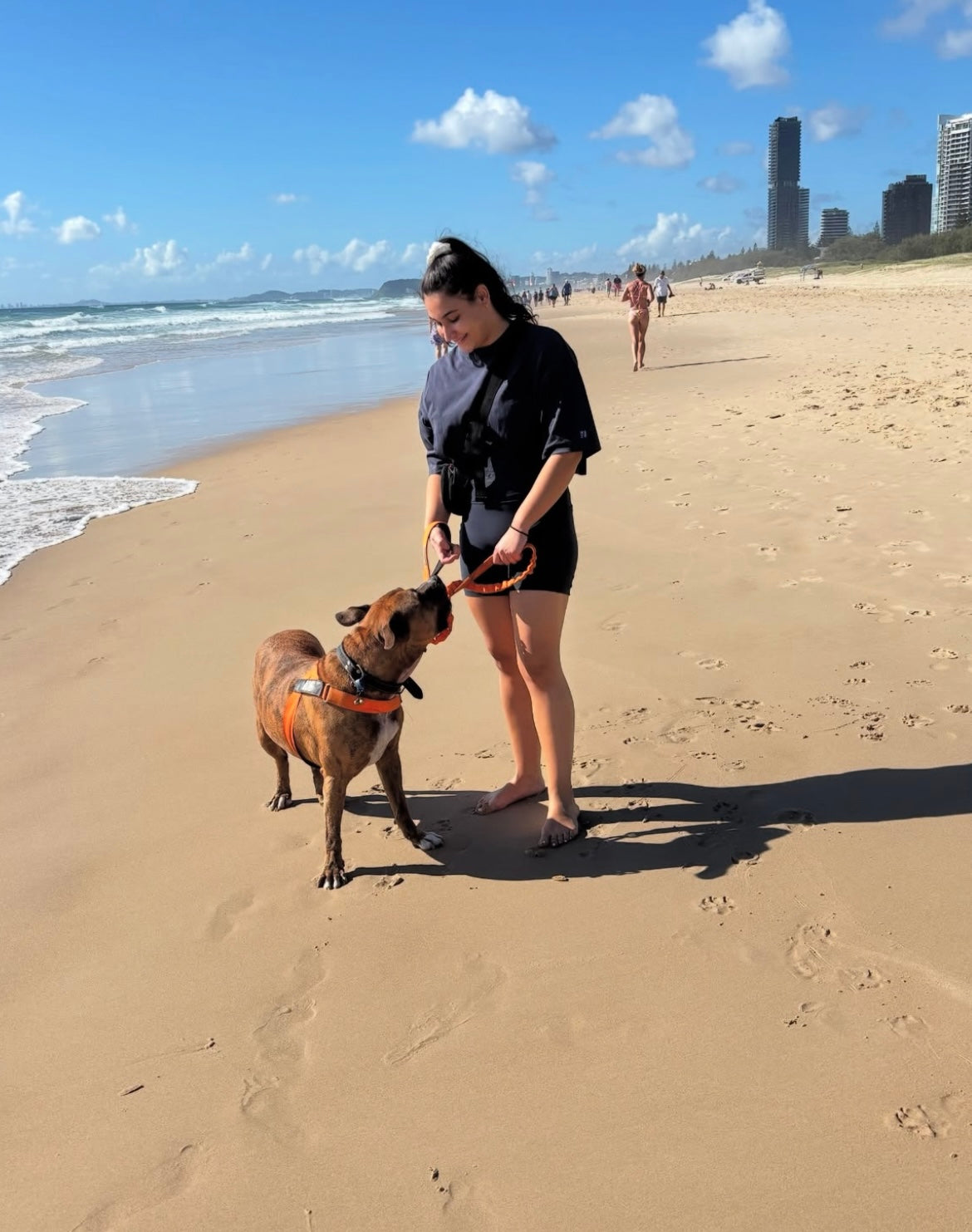 Moe’s Story: A Natural Itchy Dog Remedy