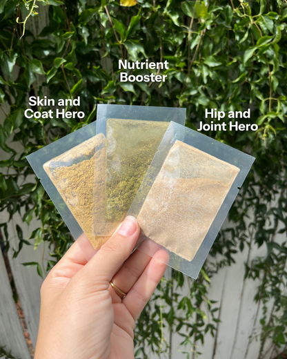 Supplement Sample Pack