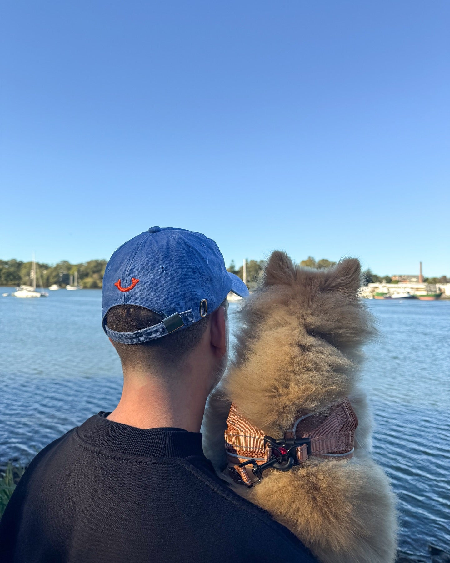 What's Updog Cap