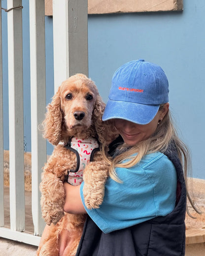 What's Updog Cap